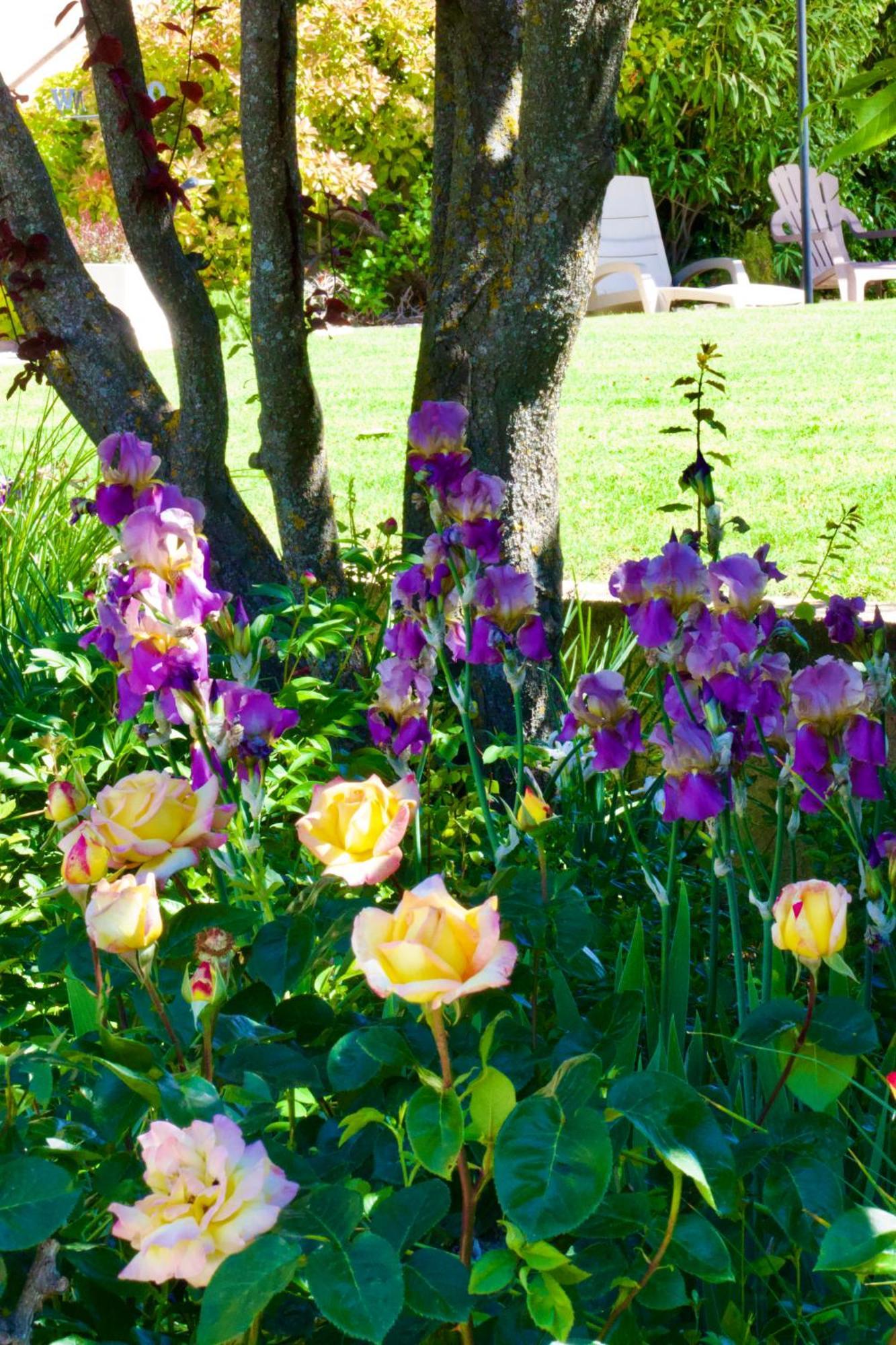 Saint-Julien-d'Asse La Bastide Des Roses B&B 외부 사진
