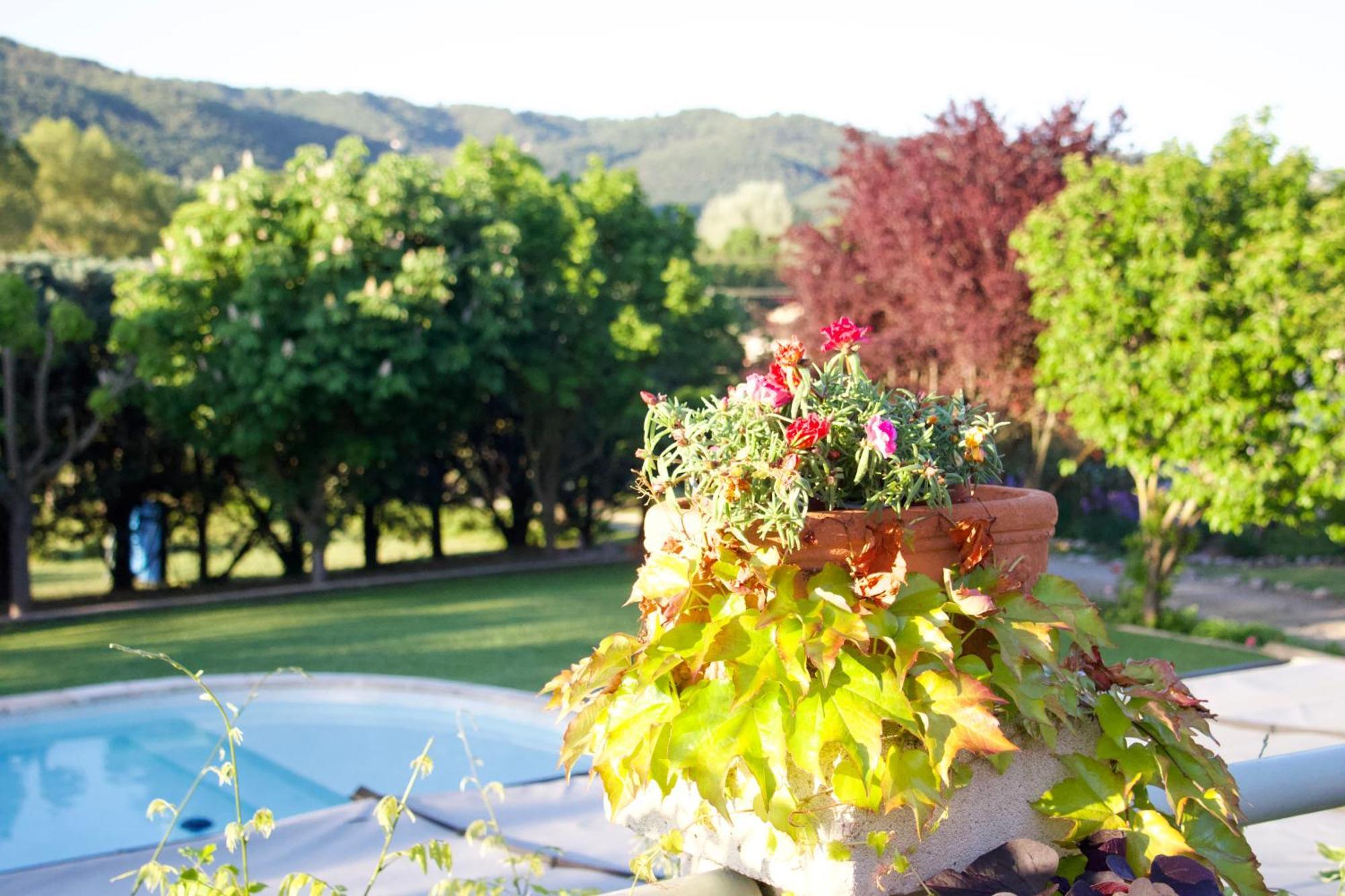 Saint-Julien-d'Asse La Bastide Des Roses B&B 외부 사진